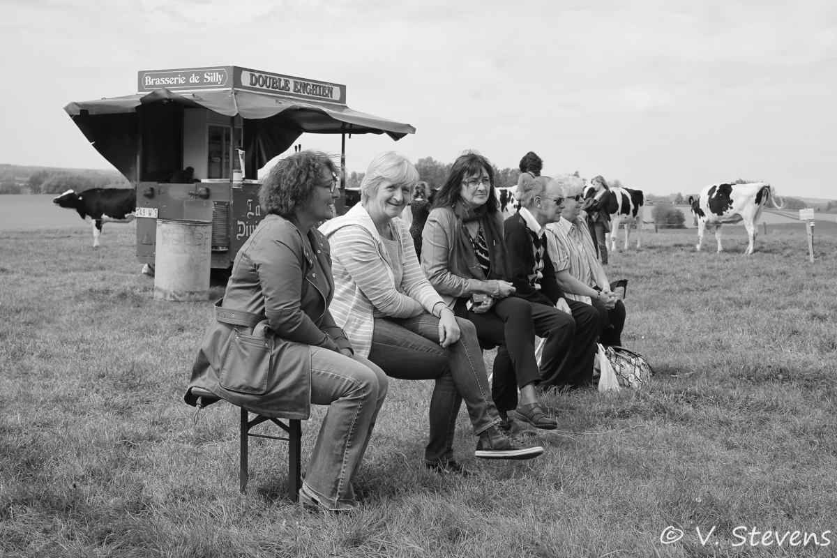 2017 - Silly plantation du mai - 30-04-2017 - V.Stevens - 161