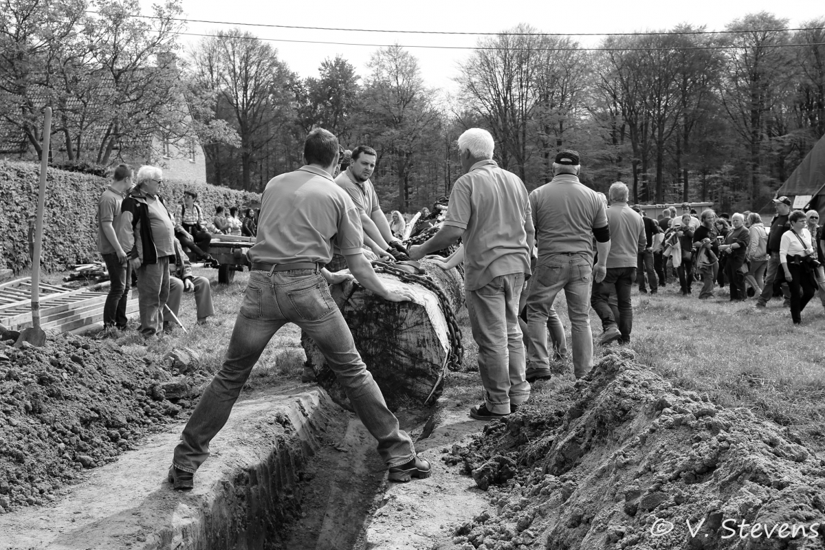 2017 - Silly plantation du mai - 30-04-2017 - V.Stevens - 182