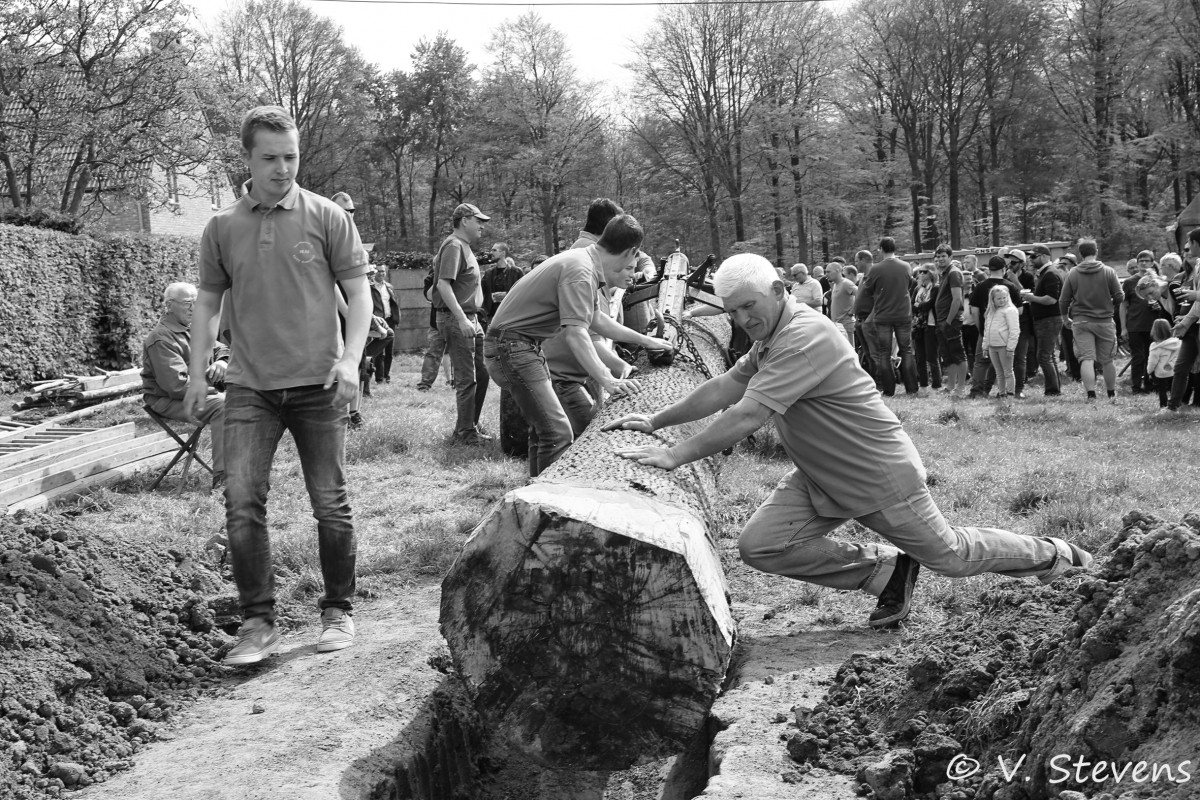 2017 - Silly plantation du mai - 30-04-2017 - V.Stevens - 203