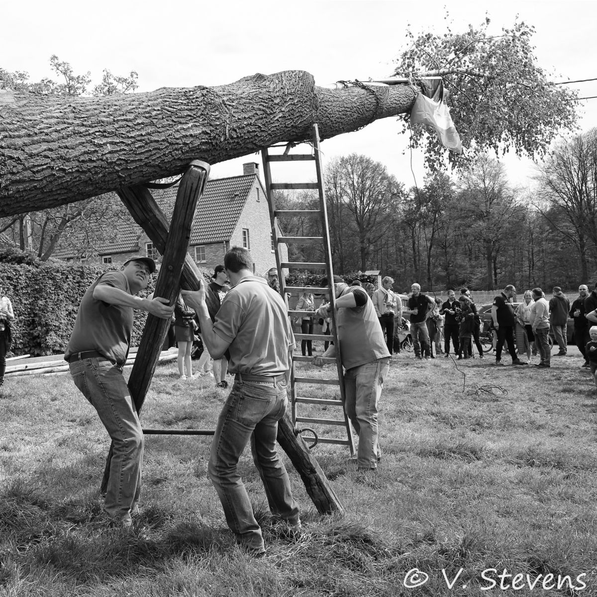2017 - Silly plantation du mai - 30-04-2017 - V.Stevens - 224