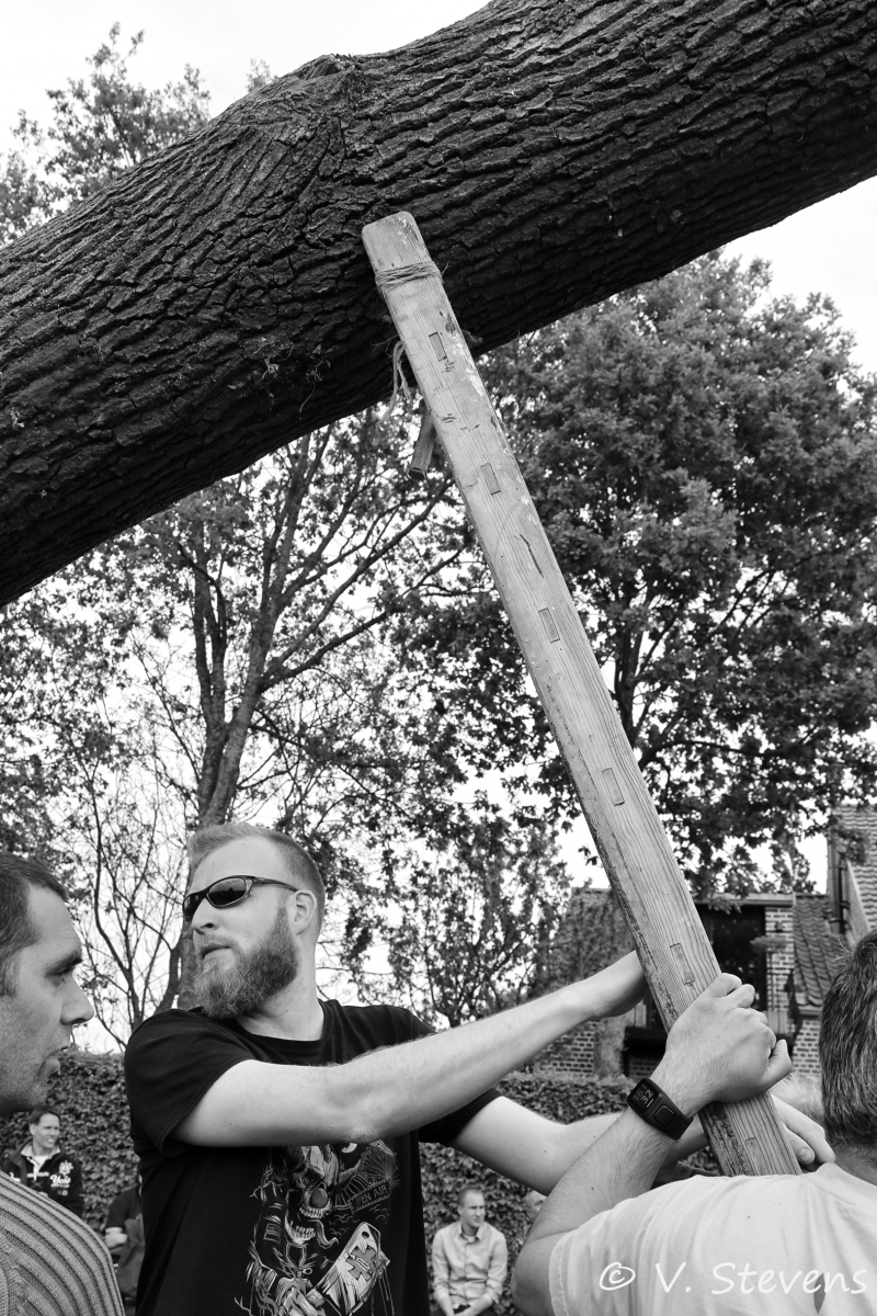 2017 - Silly plantation du mai - 30-04-2017 - V.Stevens - 292