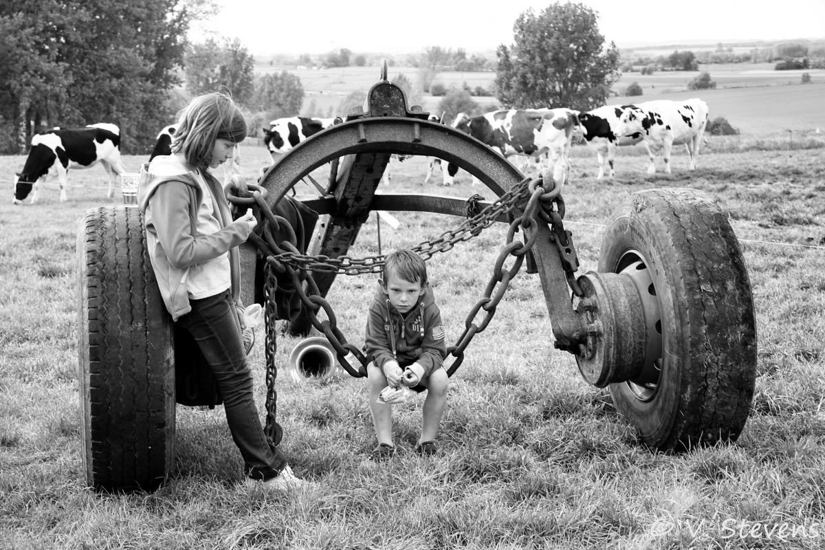 2017 - Silly plantation du mai - 30-04-2017 - V.Stevens - 323