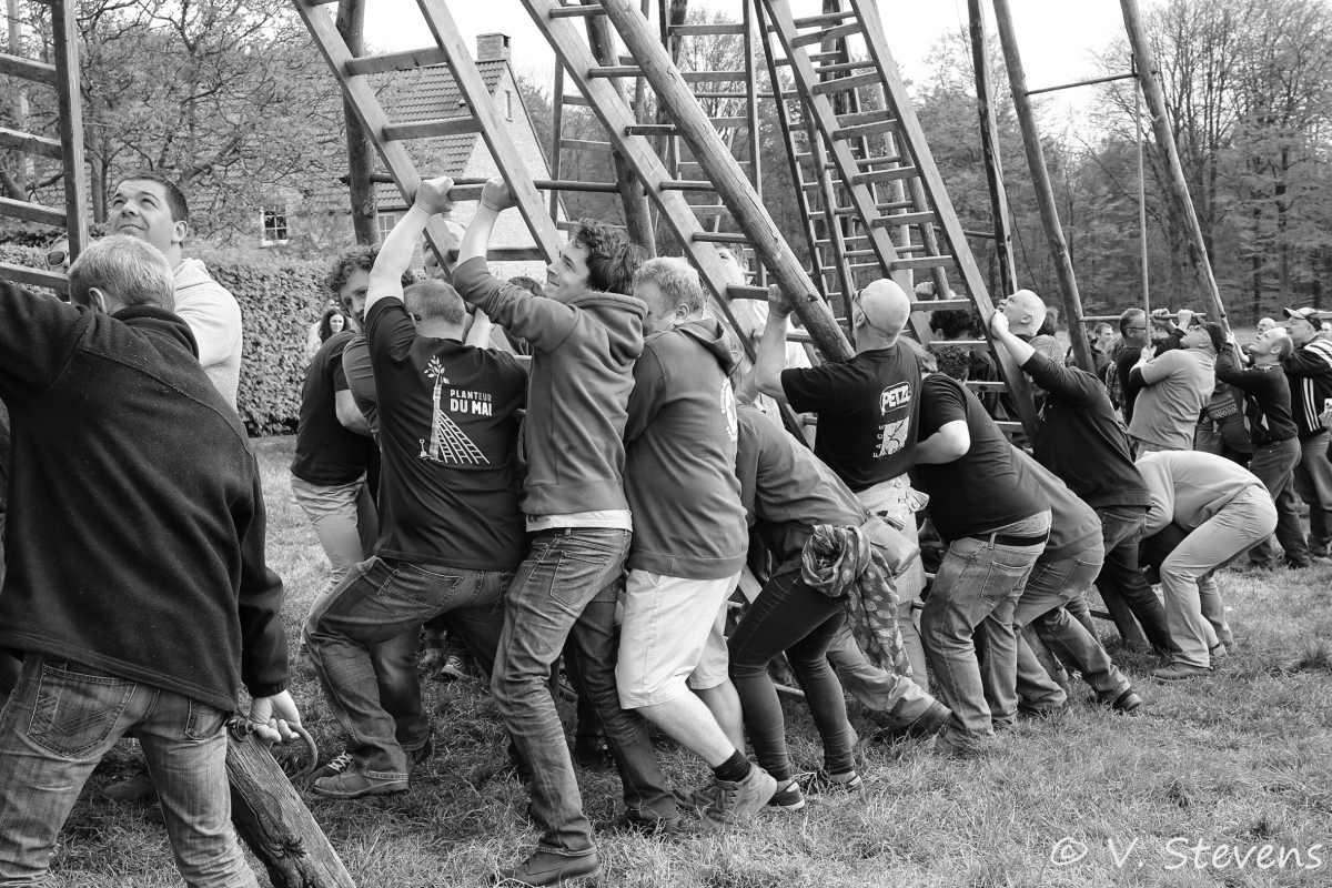 2017 - Silly plantation du mai - 30-04-2017 - V.Stevens - 328