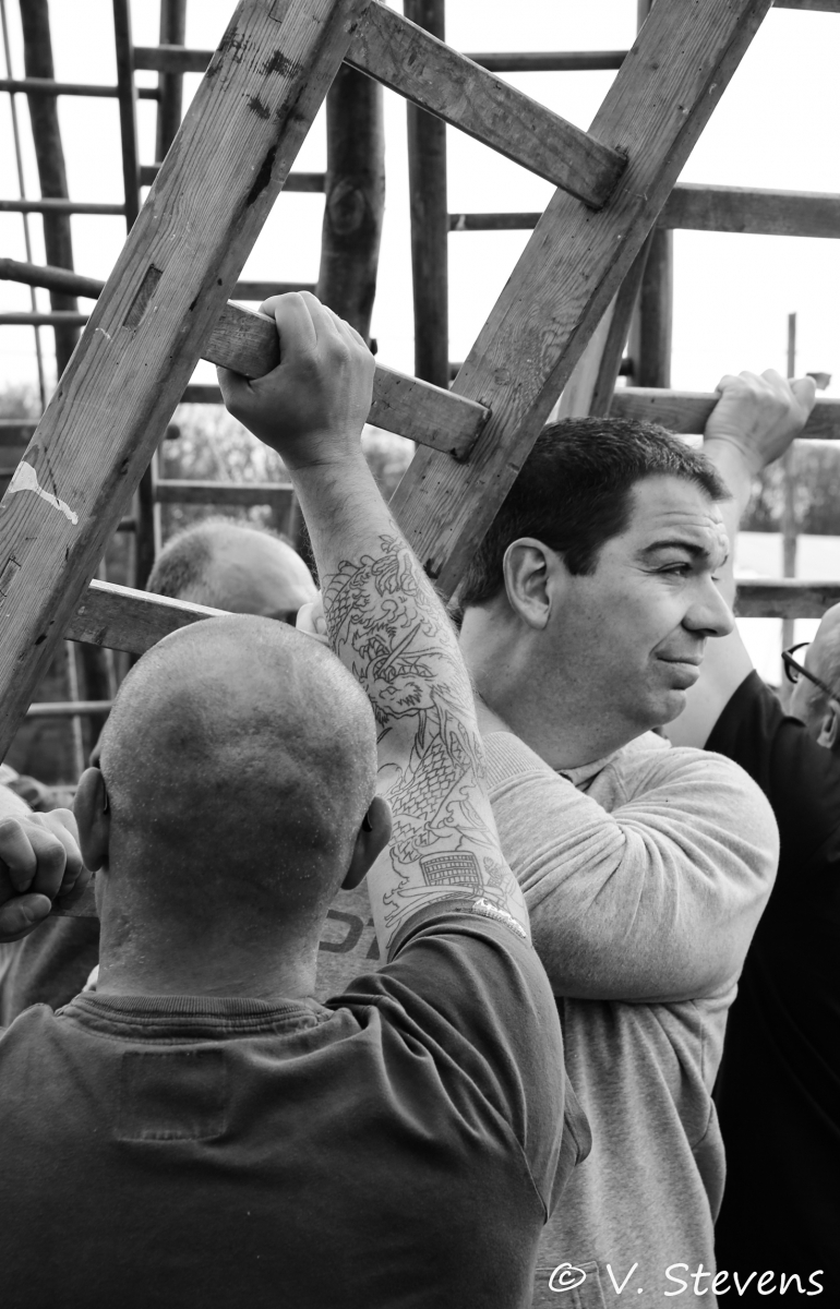 2017 - Silly plantation du mai - 30-04-2017 - V.Stevens - 352