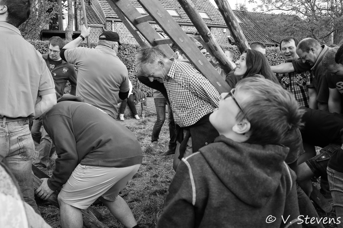 2017 - Silly plantation du mai - 30-04-2017 - V.Stevens - 388