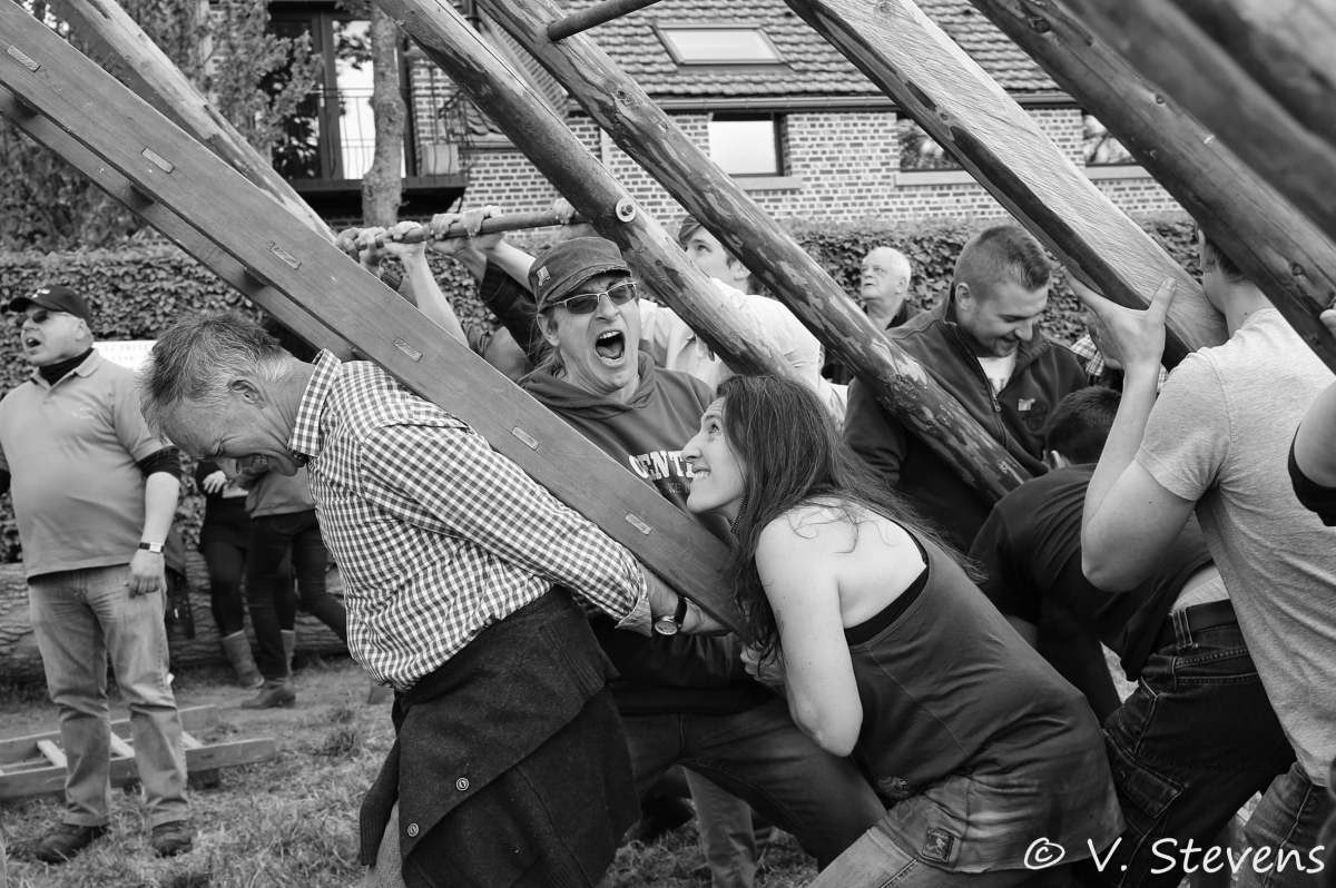 2017 - Silly plantation du mai - 30-04-2017 - V.Stevens - 403