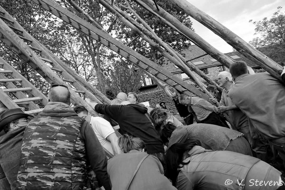 2017 - Silly plantation du mai - 30-04-2017 - V.Stevens - 405